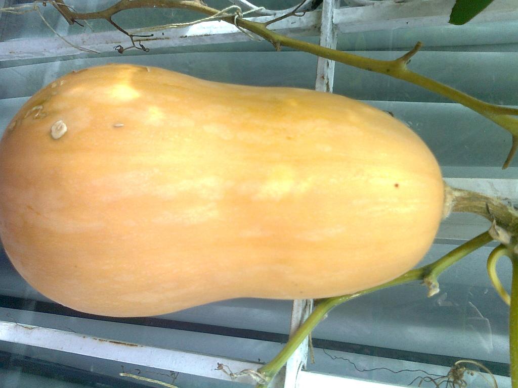 Foto0117_zpsfef9ac07.jpg