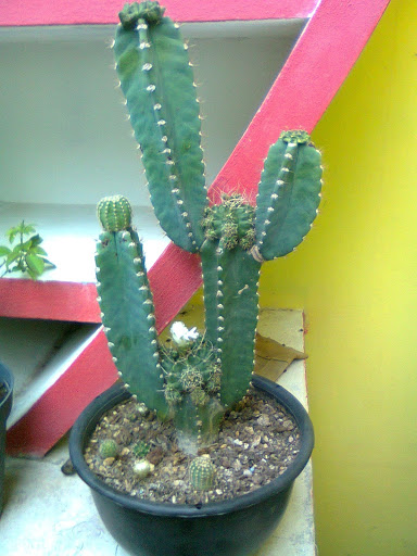 Foto0147.jpg
