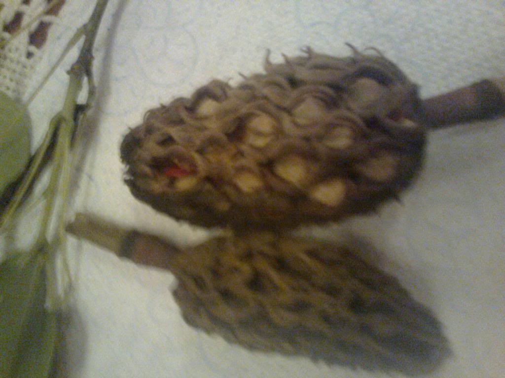Foto0150.jpg