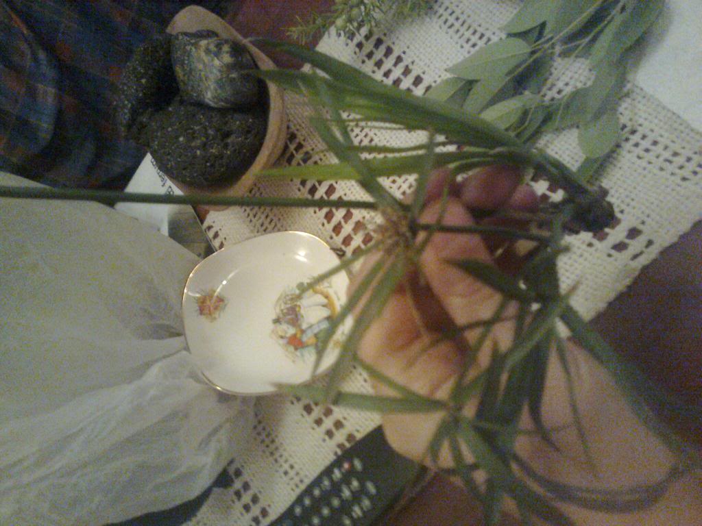 Foto0151.jpg