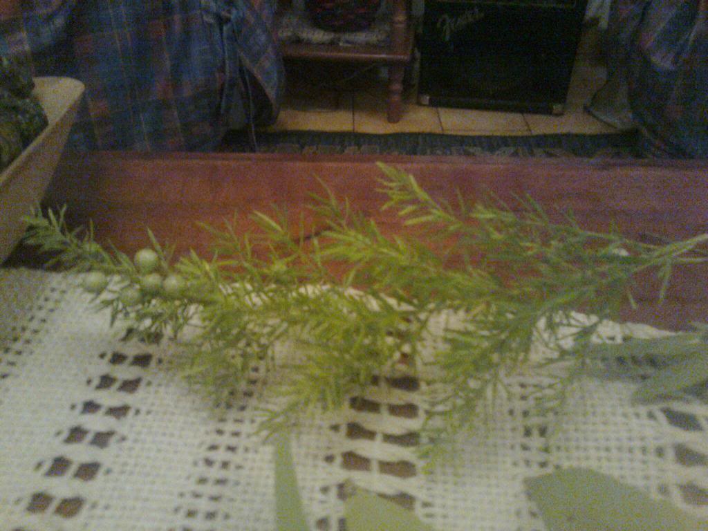 Foto0154.jpg