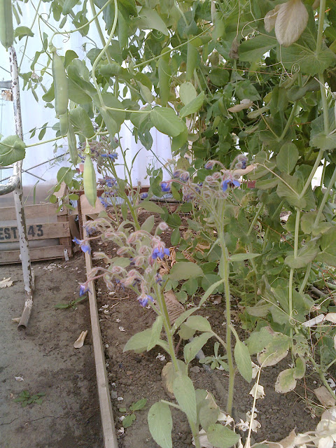 Foto0198.jpg