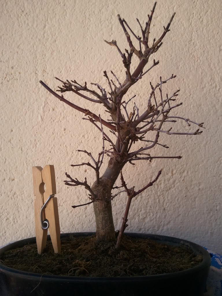 Foto0201.jpg