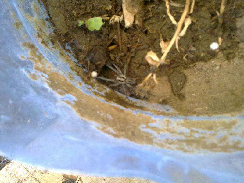 Foto0201.jpg