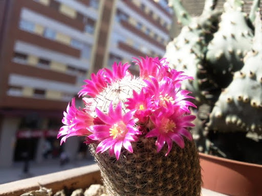 Foto0206.jpg