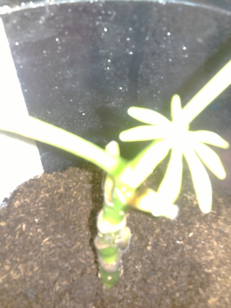Foto020_001.jpg
