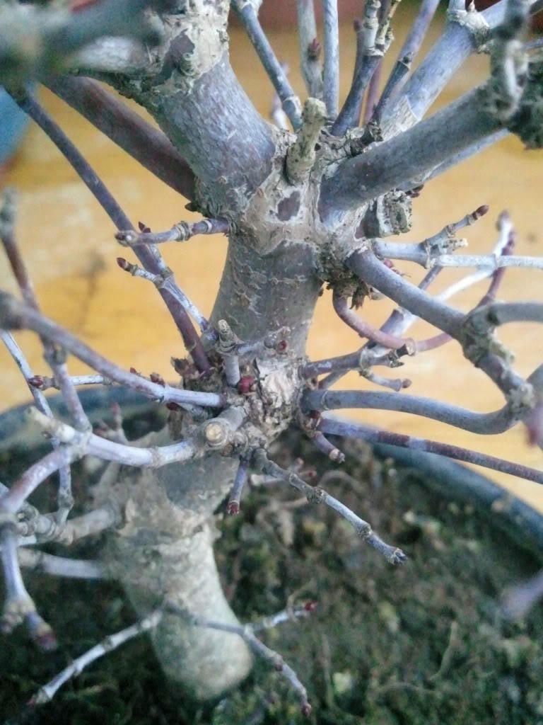 Foto0210.jpg