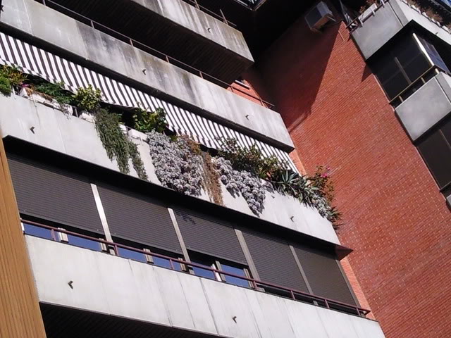 Foto0282.jpg