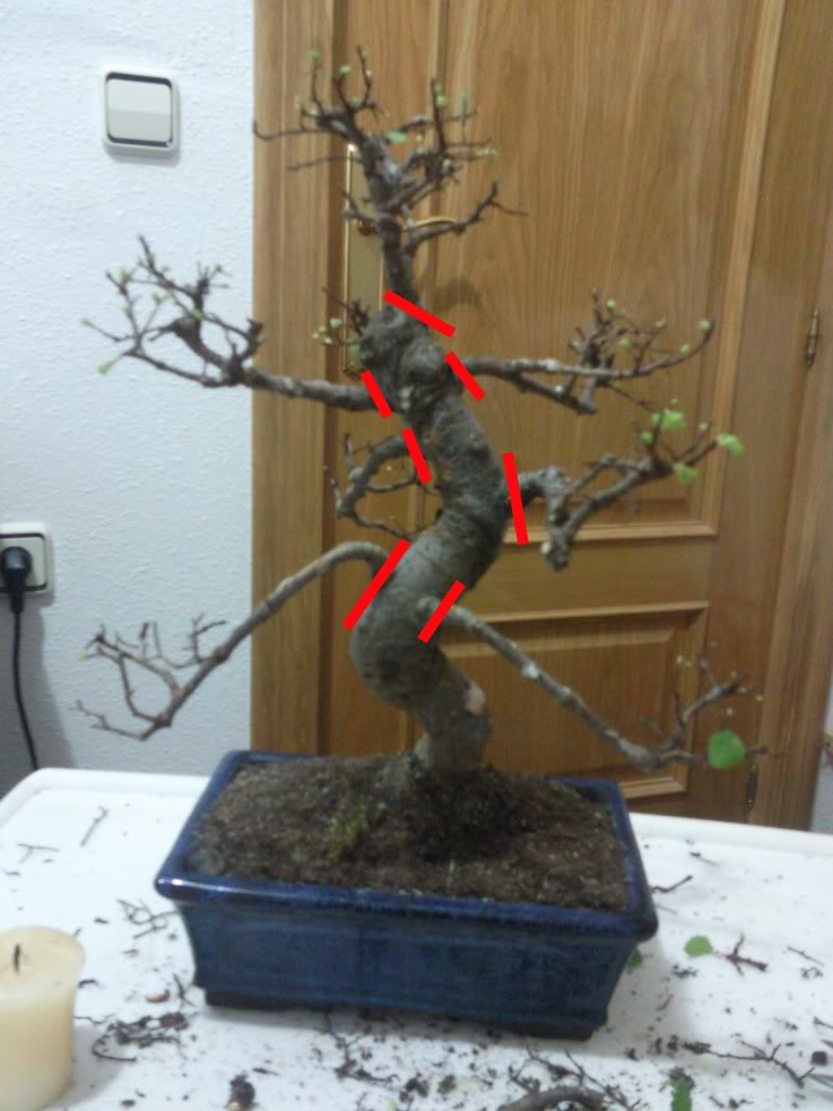 Foto09234.jpg
