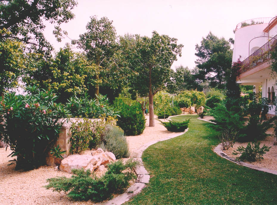 foto14.jpg