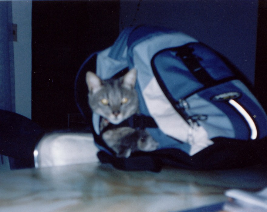 FOTO3.jpg