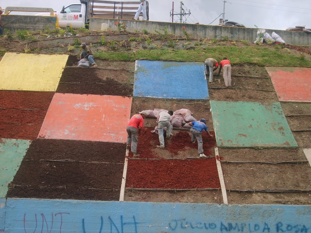 Foto4.JPG