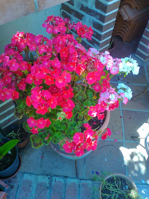 Foto5154.jpg