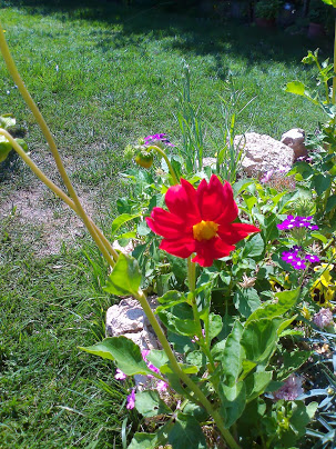 Foto5819.jpg
