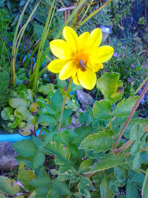 Foto6223.jpg