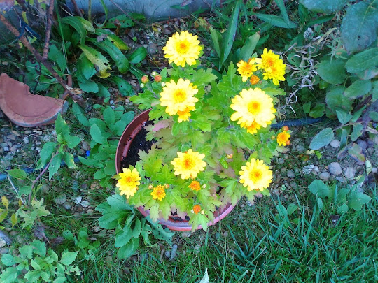 Foto6372.jpg