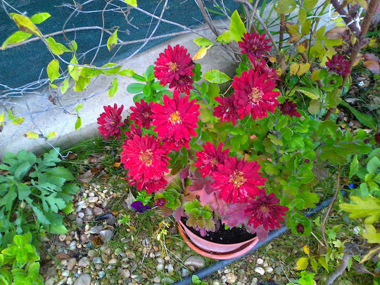 Foto6373.jpg