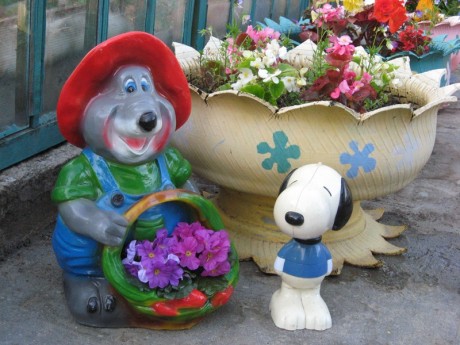 foto8_min1-460x345.jpg