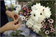 foto_perros_flores.jpg