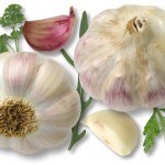 Fotolia_1050109_XS-150x150.jpg