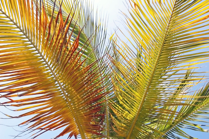 fotolia_2005513_XS.jpg