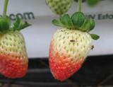 fotonoticia-21380.jpg