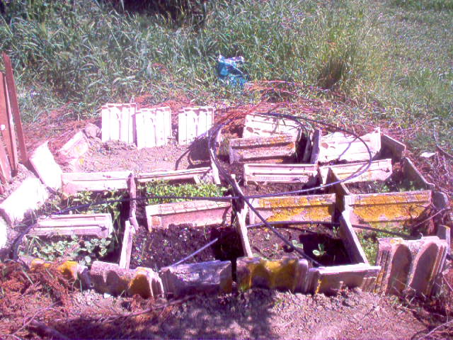 FOTOS%20027.jpg