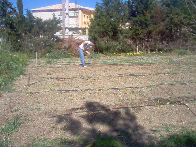 FOTOS%20030.jpg