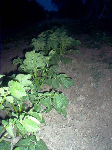 FOTOS%20076.jpg