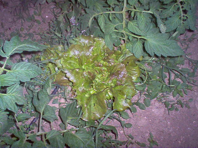 FOTOS%20077.jpg