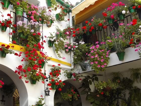 Fotos-de-patios-con-plantas.jpg