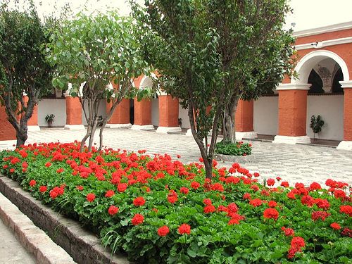Fotos-de-patios-internos.jpg