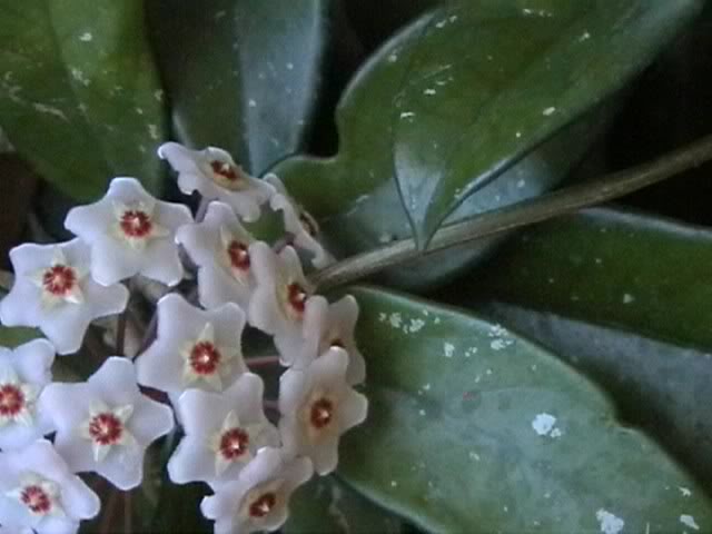 fotos011_0001.jpg