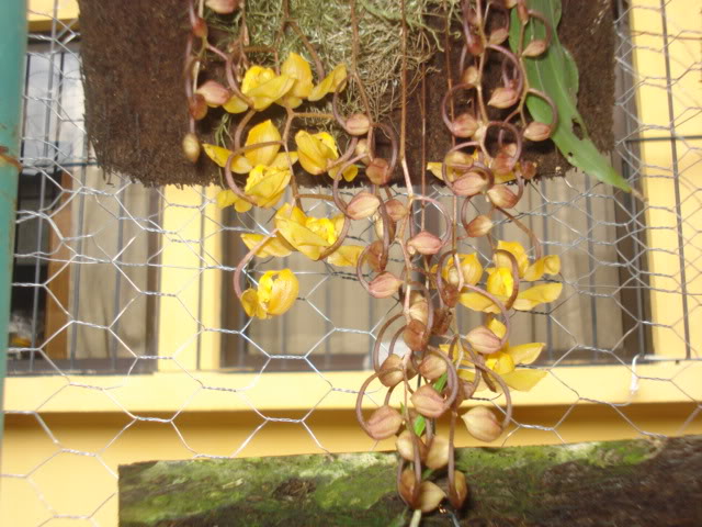 fotos023.jpg