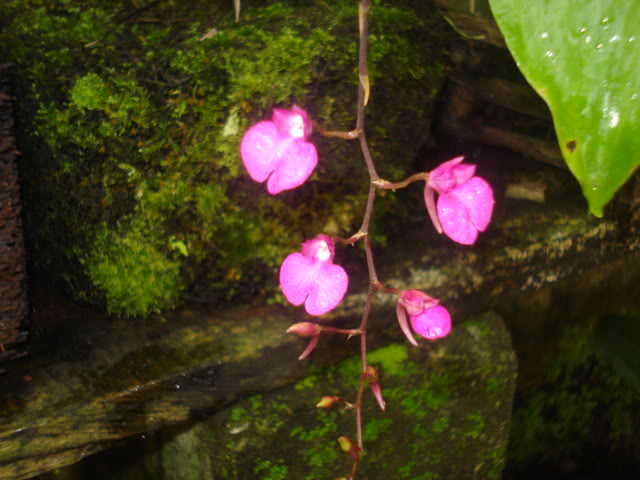fotos024.jpg