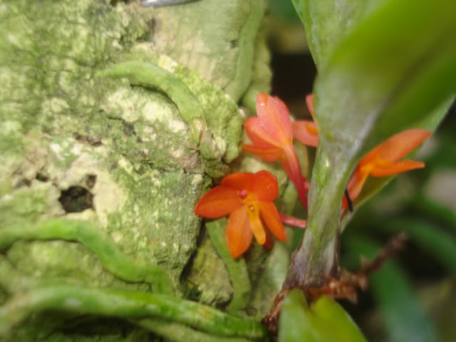 fotos026.jpg