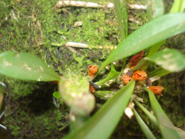 fotos027.jpg