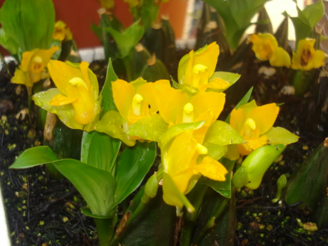 fotos029.jpg
