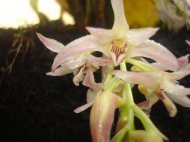 fotos030.jpg
