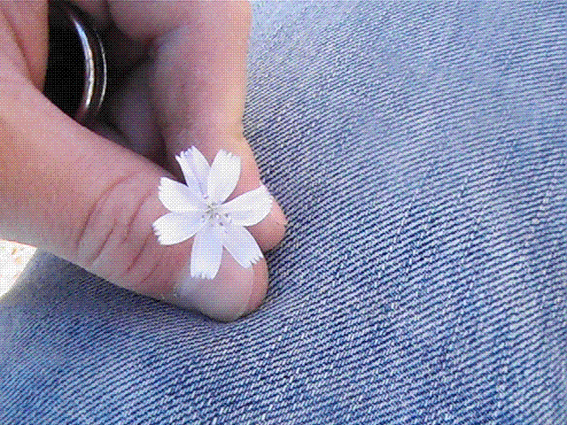 FOTOS06-05-09213.gif