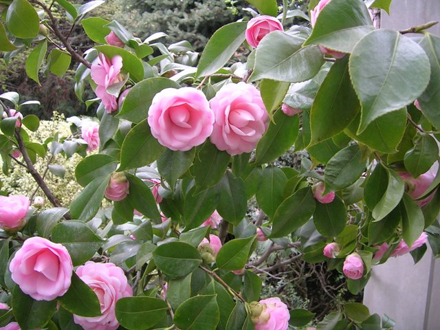 Fotos_14-15_-09_027.jpg