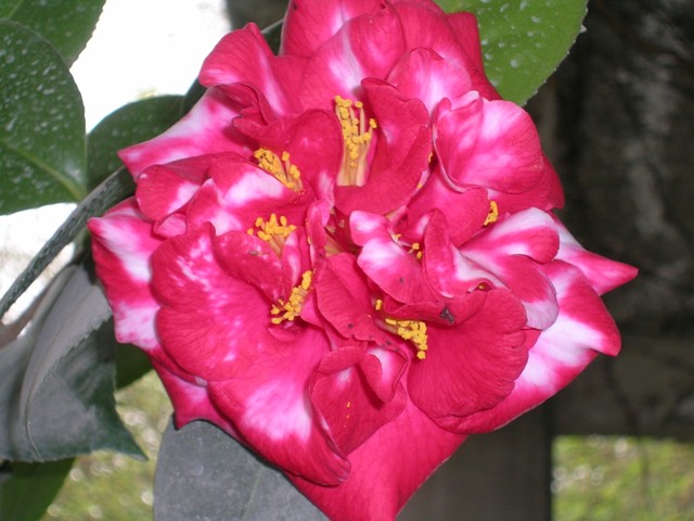 Fotos_14-15_-09_035.jpg