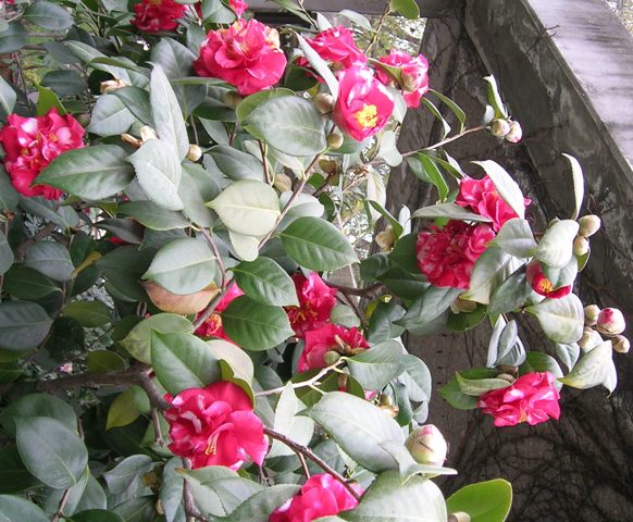Fotos_14-15_-09_043.jpg