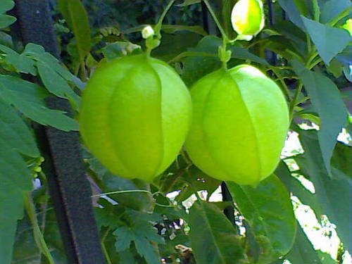 Fotos_899.jpg