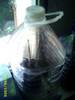 fotos_base_orqu_deas_00003.jpg
