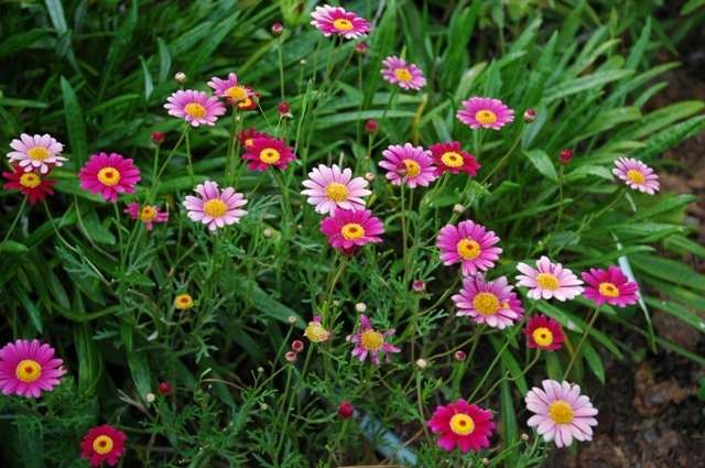 Fotos_Gur_026.jpg