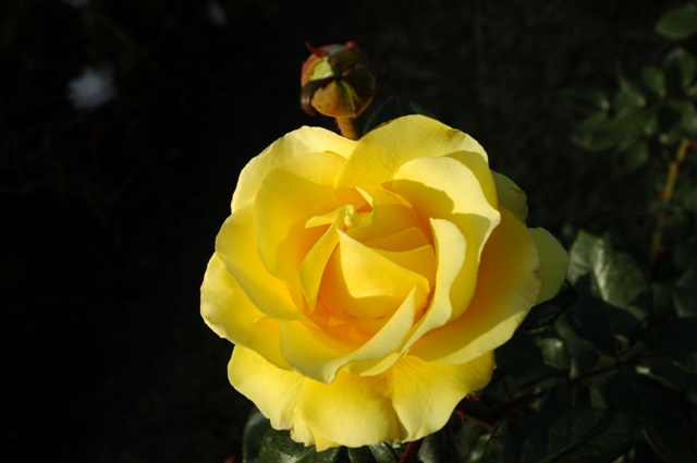 Fotos_Gur_031.jpg