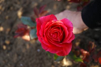 Fotos_Gur_051.jpg