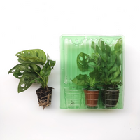 Fotos_Web_Miniplanta_7_200x200.png