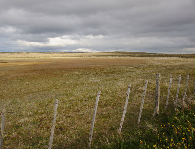 fotoweb.jpg